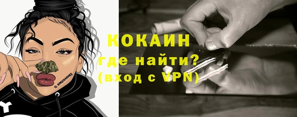 бошки Белокуриха