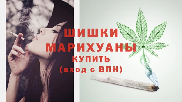 бошки Белокуриха