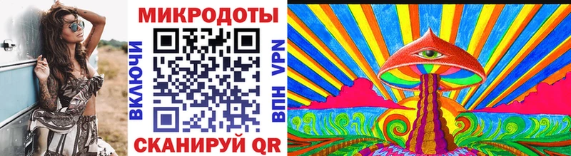 Псилоцибиновые грибы Psilocybe  Воркута 